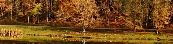 Gilmer County